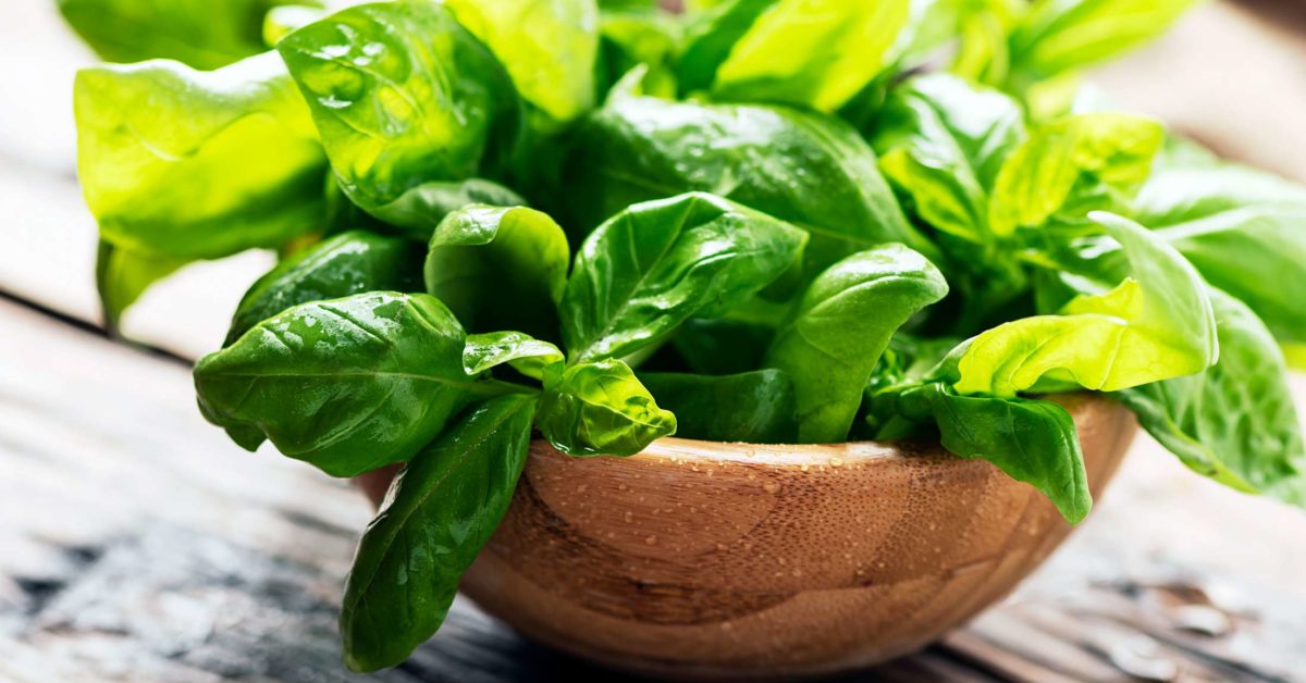 BASIL